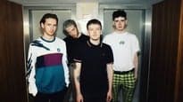 The Dunts